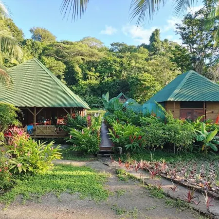 Jenené Lodge