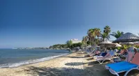 Eva Beach Hotel Hotels in Konaklı
