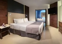 HS Hotsson Smart León Centro Max