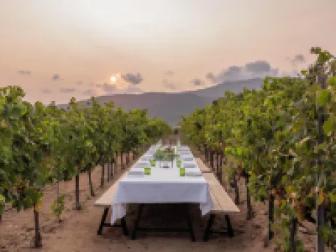 Domaine de Peretti Della Rocca Hotels in Figari