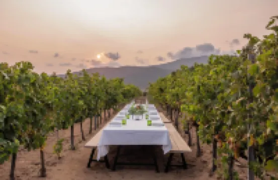Domaine de Peretti Della Rocca