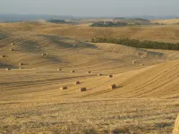 Agriturismo San Giorgio Hôtels à : Monteroni d'Arbia