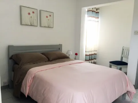La Péninsule - Town Apartment in Curepipe 1