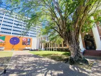 La Calma Puerto Rico Hoteles cerca de El Parque Central