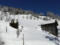 Charmantes Apartment in Goldegg, Österreich - Bergblick und privater Eingang