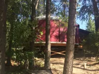 Blue yurt, out in the woods! Unplugged, you are out in nature away from it all.