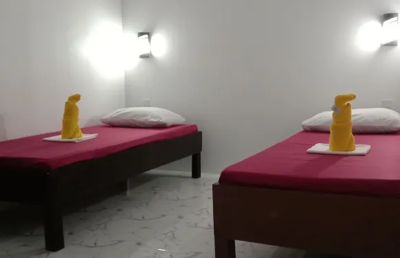 安涅克斯蘇里高旅客旅館