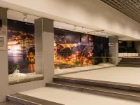Ibis Porto Centro São Bento Hotels near Oporto Coliseum