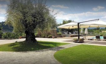 Tenuta D'Amore