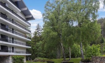 Apartment Crans-Montana Near Ski Slopes