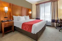 Comfort Suites Newark - Harrison Hotels in Harrison