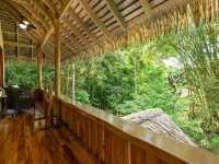 Copa De Arbol Beach & Rainforest Resort Hotels in Osa