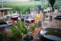 Turistgården - House of Ven Hotels in Rydebäck