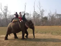 Peacock - a Family-Run Hotel