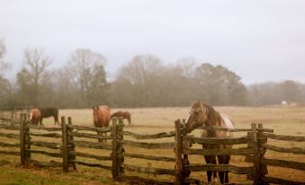 Seventy-Four Ranch