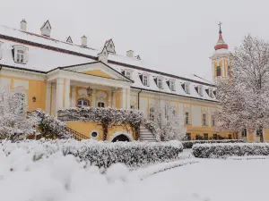 Hotel Château Bela