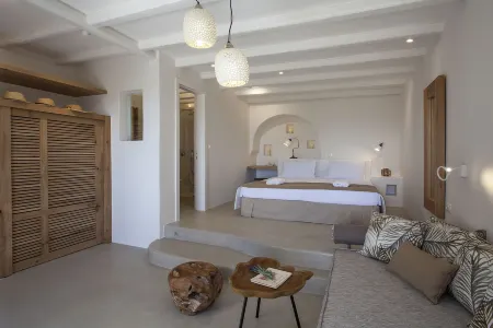 卡沃斯納克索斯酒店