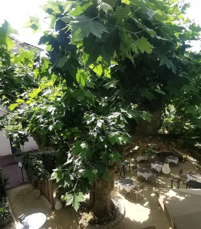 Logis Hôtel - Restaurant Maison Claude Darroze