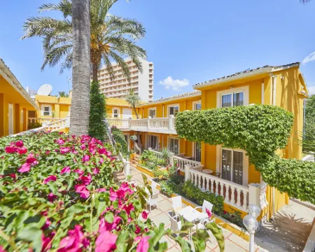 Hotel Cupidor Hotels in Calvia