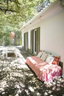 Vumba - House of the Lizard - Wifi