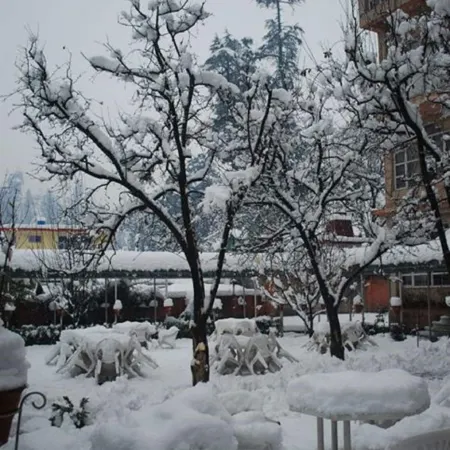 Bravia Hotel Manali Inn