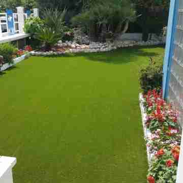 Hotel le Palme Hotel Exterior