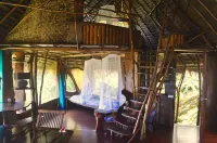 Vanira Lodge Hotels in Toahotu