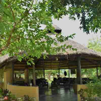 Mango Tree Lodge Others