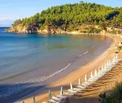 Alonissos Beach Bungalows and Suites Hotel - Beach
