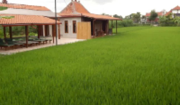 Alamanda Family Villas, Pool & Local Tours