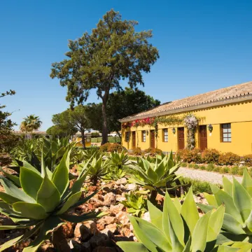Vila Gale Albacora