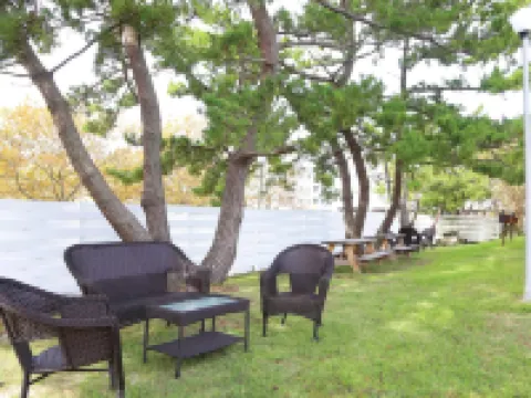 Quality Inn Oceanfront Hotels in Ocean City