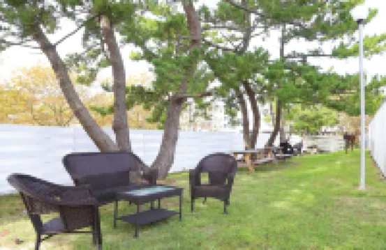 Quality Inn Oceanfront