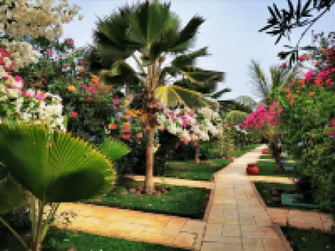 Royal Horizon Baobab Hoteles en Departamento de Mbour