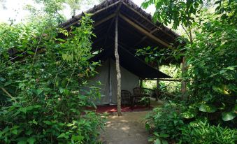 Tiger Tops Tharu Lodge