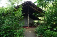 Tiger Tops Tharu Lodge