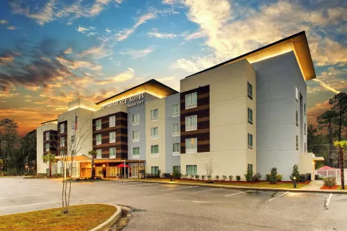 TownePlace Suites Mobile Saraland - Wi-Fi