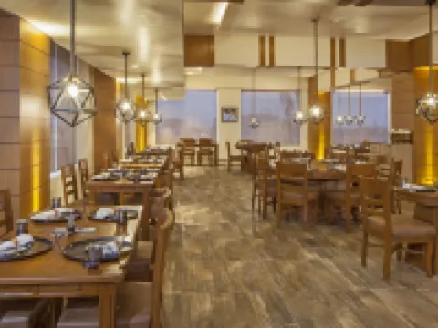 レモン ツリー プレミア パトナー パトナのホテル