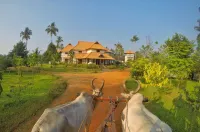 Rasa Gurukul - Airport Shuttle