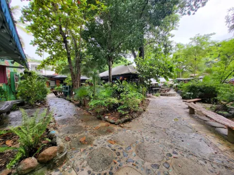 Tillett Gardens Guest House Hotels in Anna's Retreat