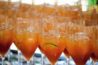 Pachira Lodge - bar