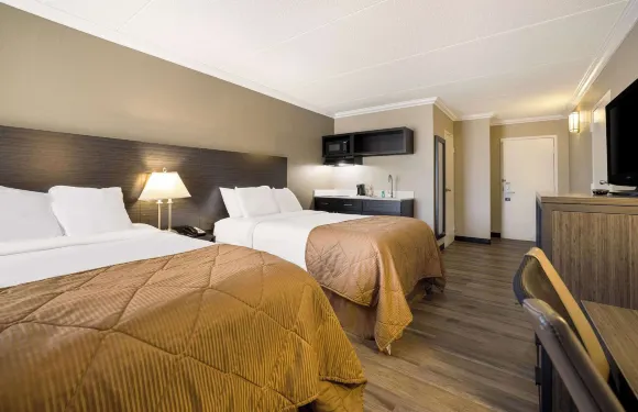 郊區工作室錫拉丘茲展覽場