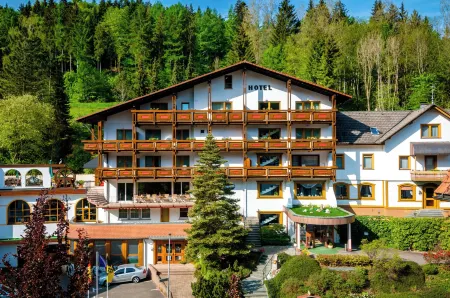 Holzschuh Schwarzwaldhotel Отели в г. Шёнмюнцах
