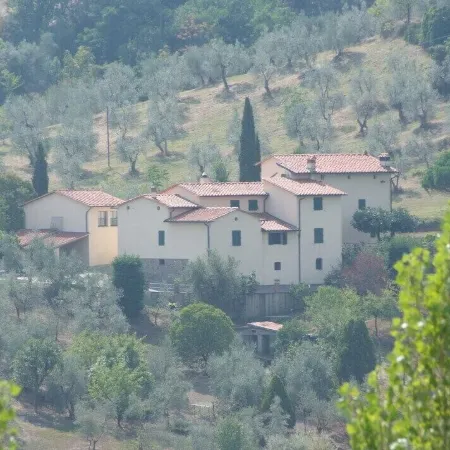 Fuccioli II