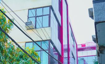 Roomshala 051 Ashok Palace