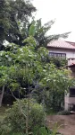 Oasis Martim de Sá - Beija Flor - Beautiful Apartment Ideal for Families