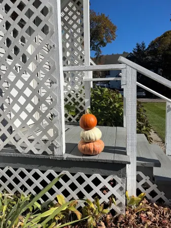 Upstairs on Main with private bathroom Отели рядом с достопримечательностью «Государственный заповедник Октобер Маунтин»