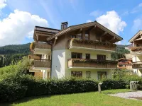 Modern, cozy apartment near the Steinbergbahn - Ski in /out - Bike in /out