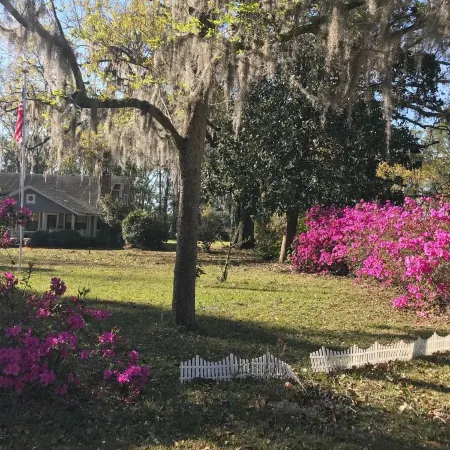 Farm/Woods Stay, 3 Miles from Live Oak