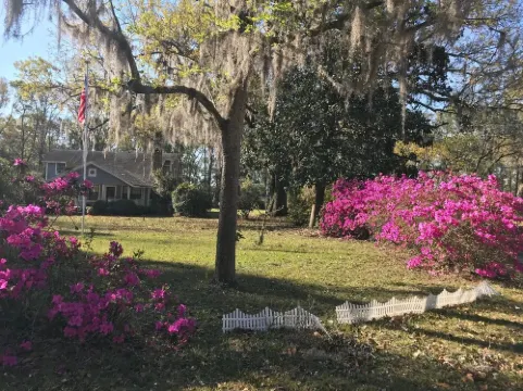 Farm/Woods Stay, 3 Miles from Live Oak